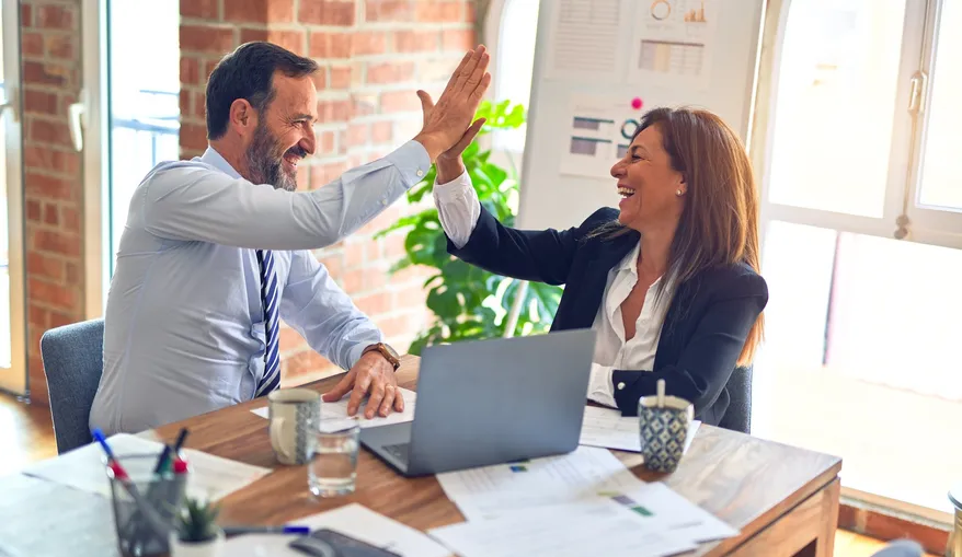 Professional mentoring business setting